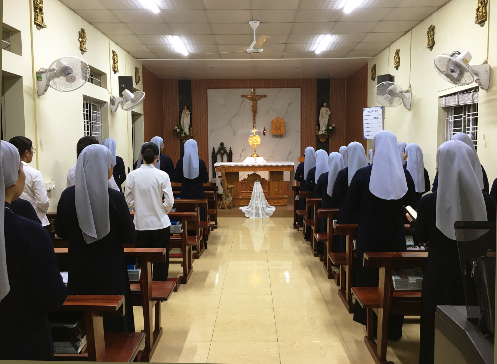Photo-1