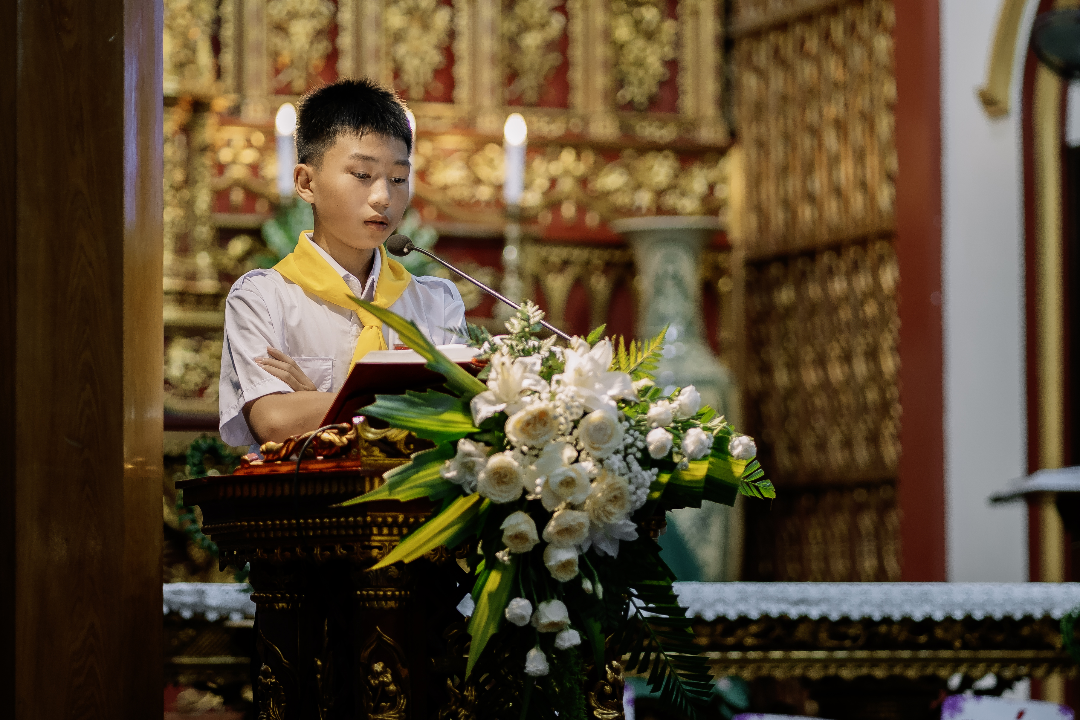 Photo-11