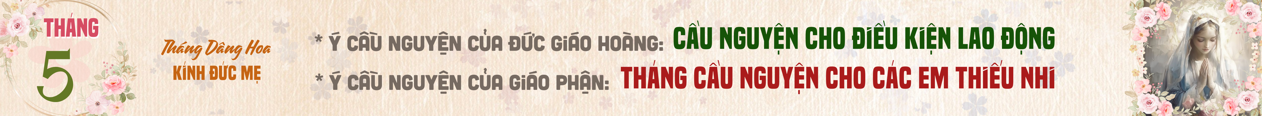 banner-0