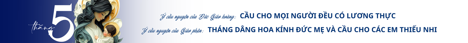 banner-0