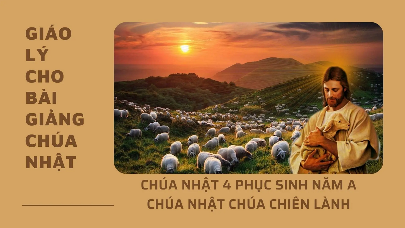 Giáo lý cho Bài giảng Chúa nhật 4 Phục Sinh - Năm A