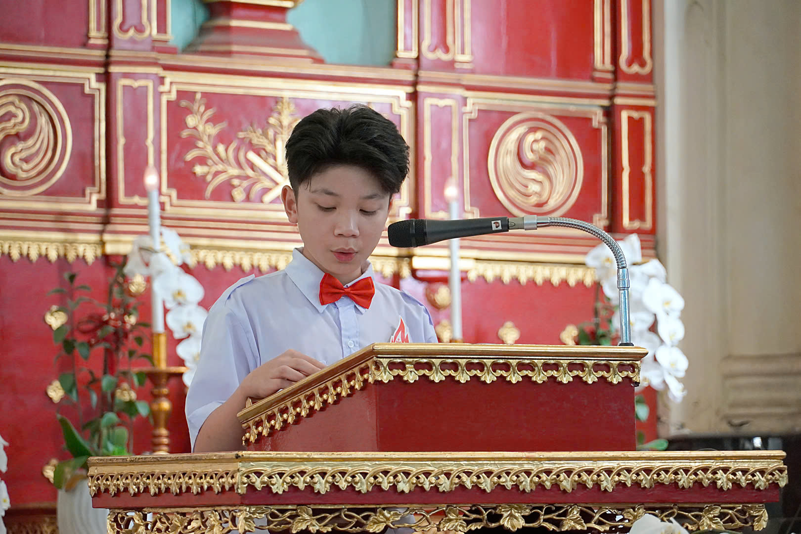 Photo-4
