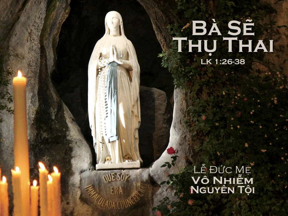 Bài đọc Lễ Đức Mẹ Vô Nhiễm Nguyên Tội