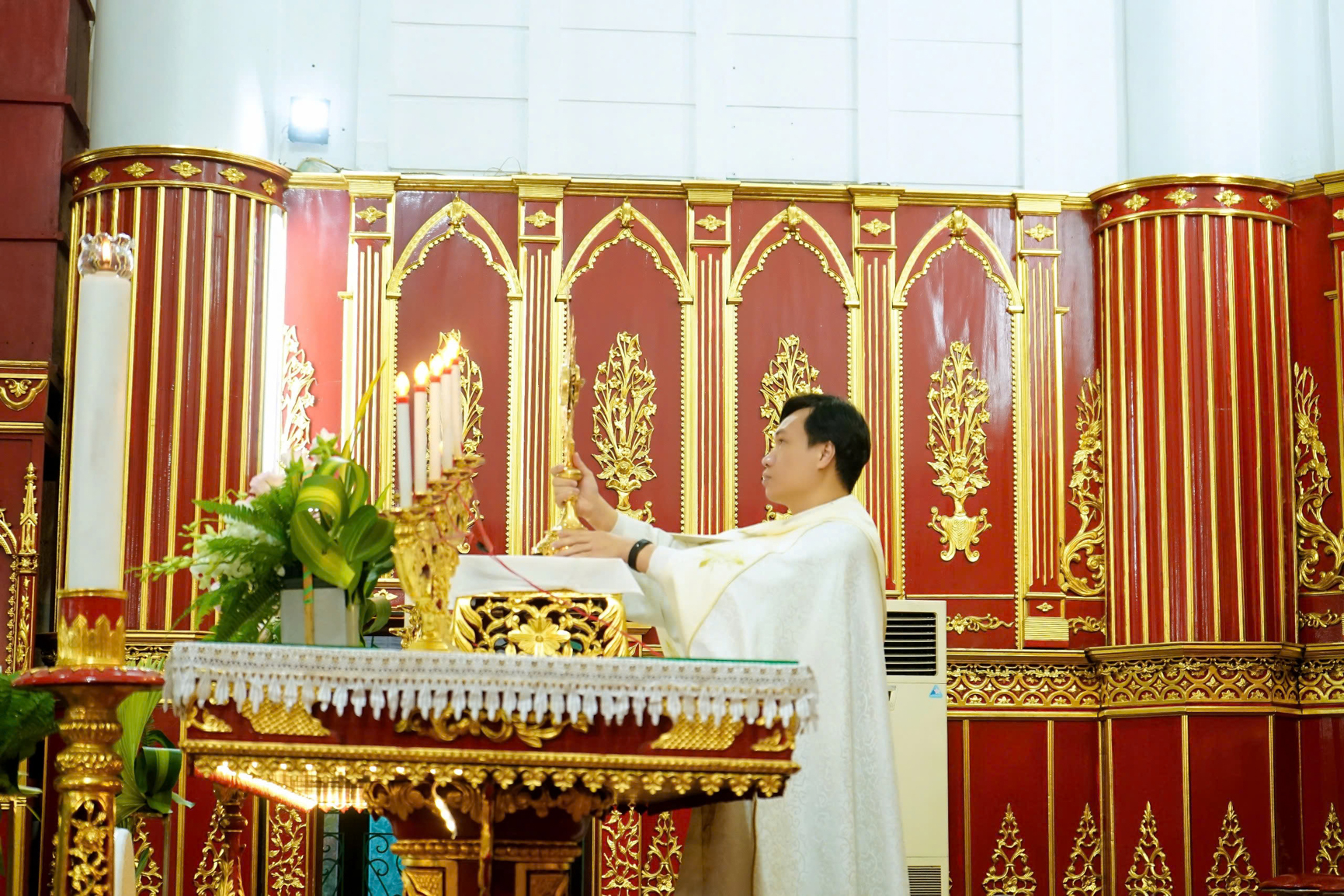 Photo-7