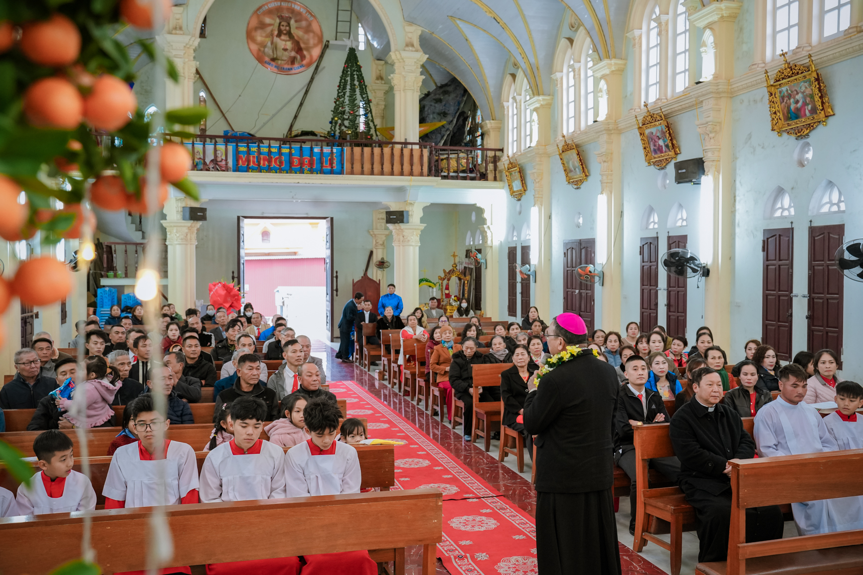 Photo-4