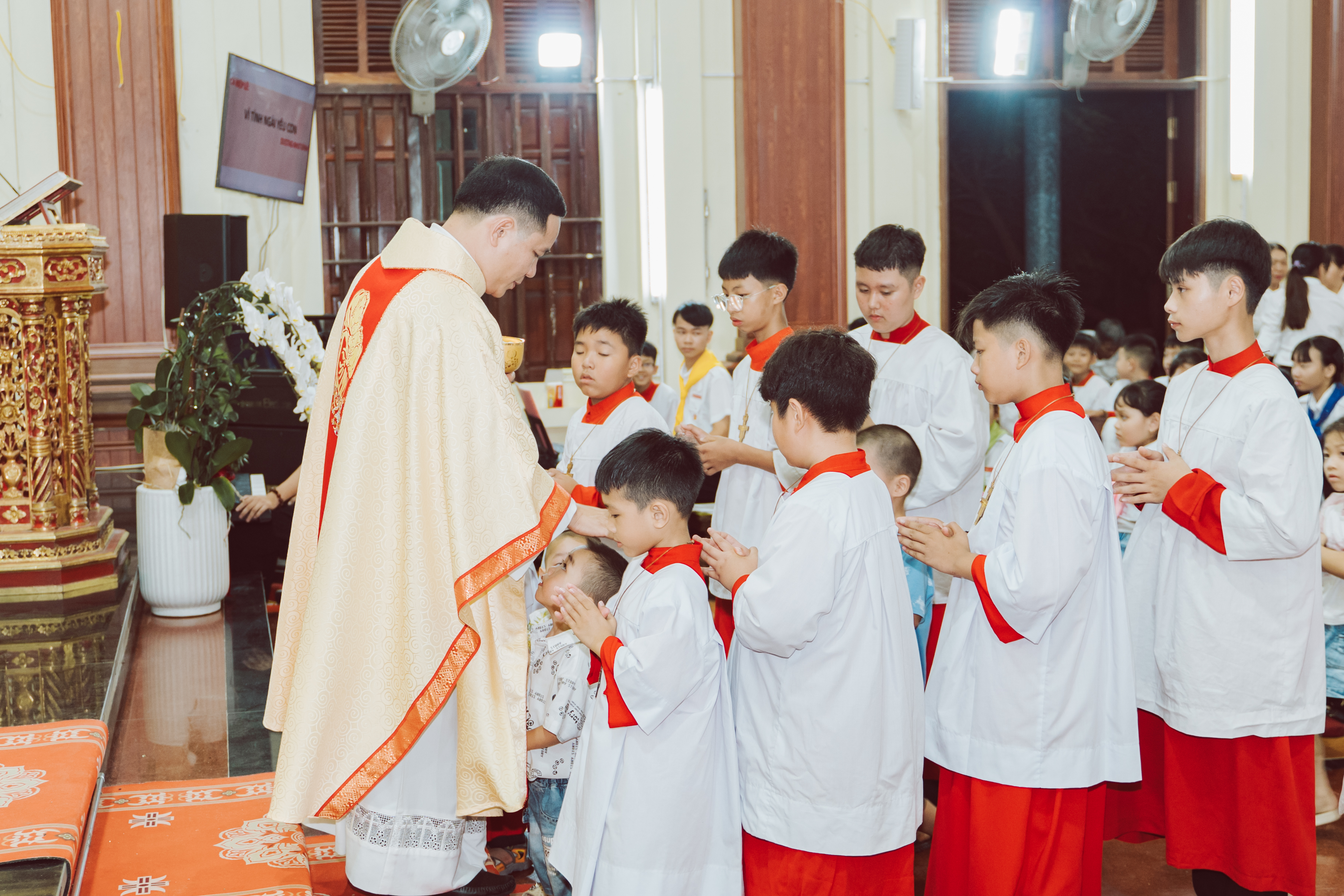 Photo-7