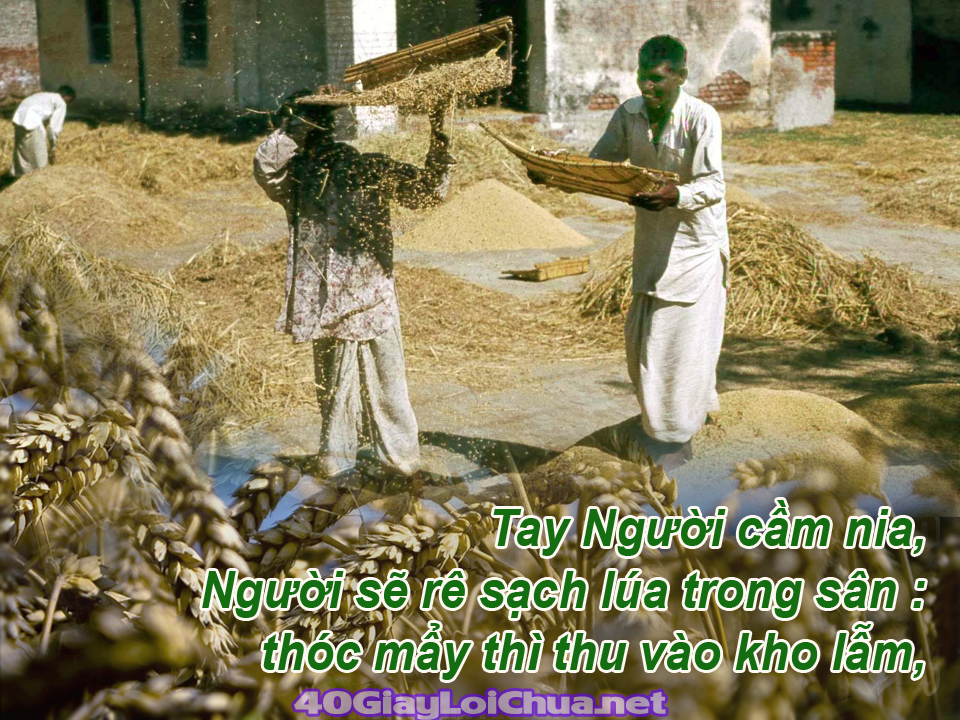 Chú giải Lời Chúa Chúa Nhật II Mùa Vọng - Năm A