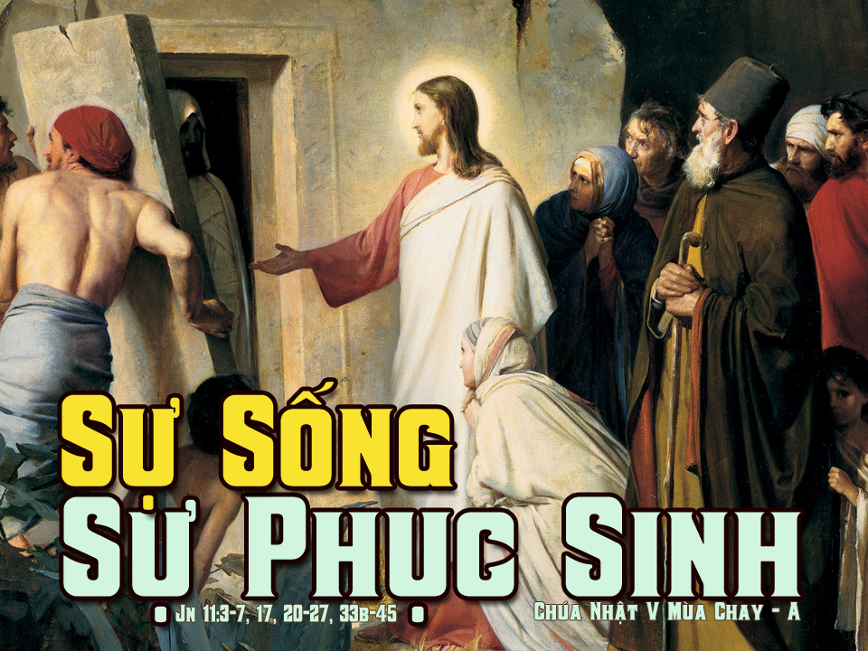 Bài đọc Chúa nhật V mùa Chay - Năm A