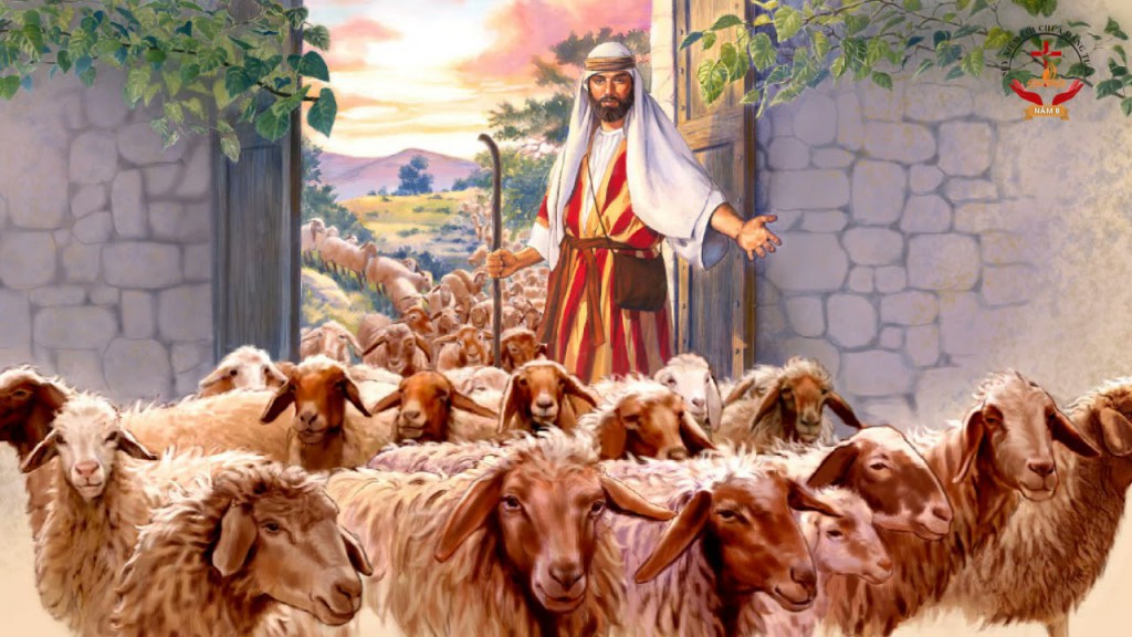 Chú giải Lời Chúa Chúa nhật IV Phục Sinh - Năm A