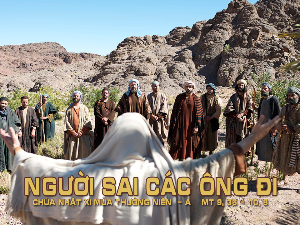 Bài đọc Chúa nhật XI Thường niên - Năm A