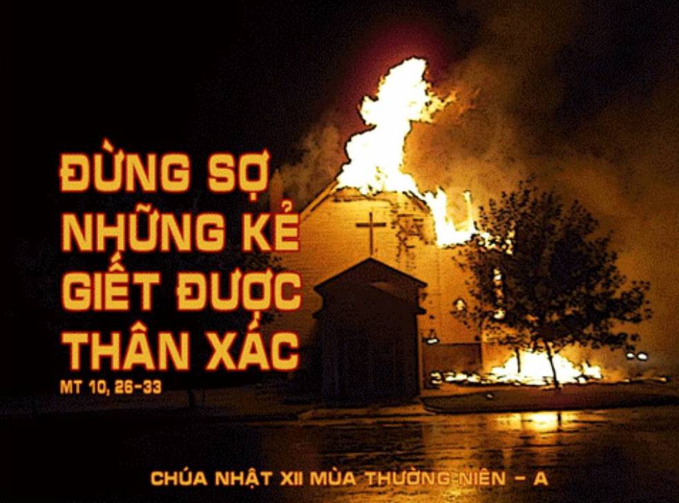 Bài đọc Chúa nhật XII Thường niên - Năm A