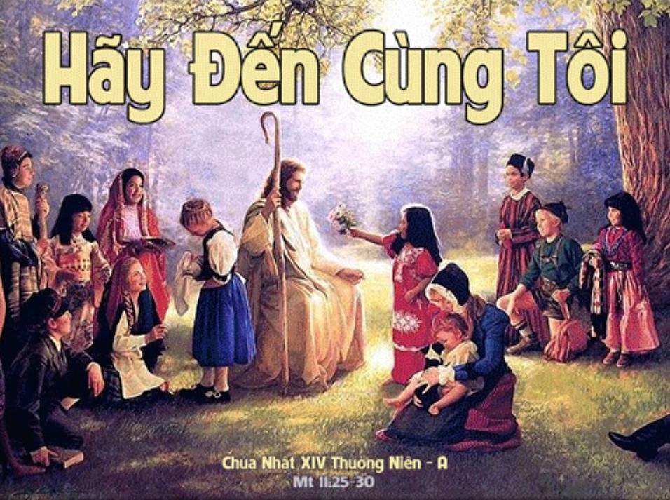 Bài đọc Chúa nhật XIV Thường niên - Năm A