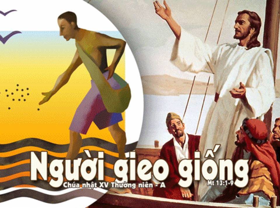 Bài đọc Chúa nhật XV Thường niên - Năm A
