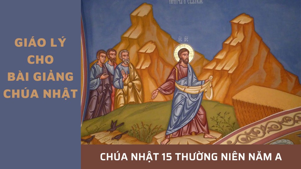 Giáo lý cho bài giảng Chúa nhật 15 Thường niên - Năm A
