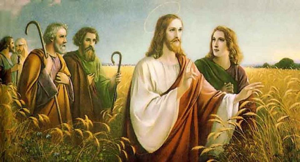 Chú giải Lời Chúa Chúa nhật XVI Thường niên - Năm A