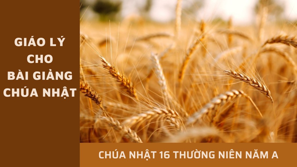 Giáo lý cho bài giảng Chúa nhật 16 Thường niên - Năm A