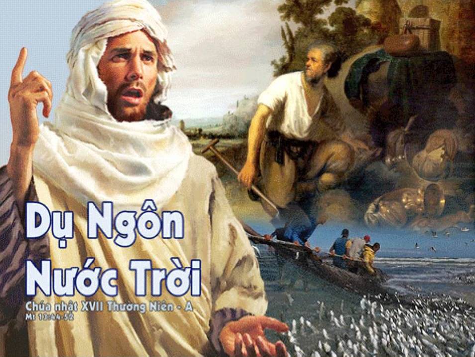 Bài đọc Chúa nhật XVII Thường niên - Năm A