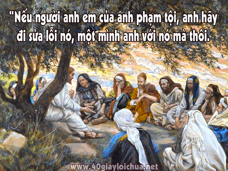 Chú giải Lời Chúa Chúa nhật XXIII Thường niên - Năm A