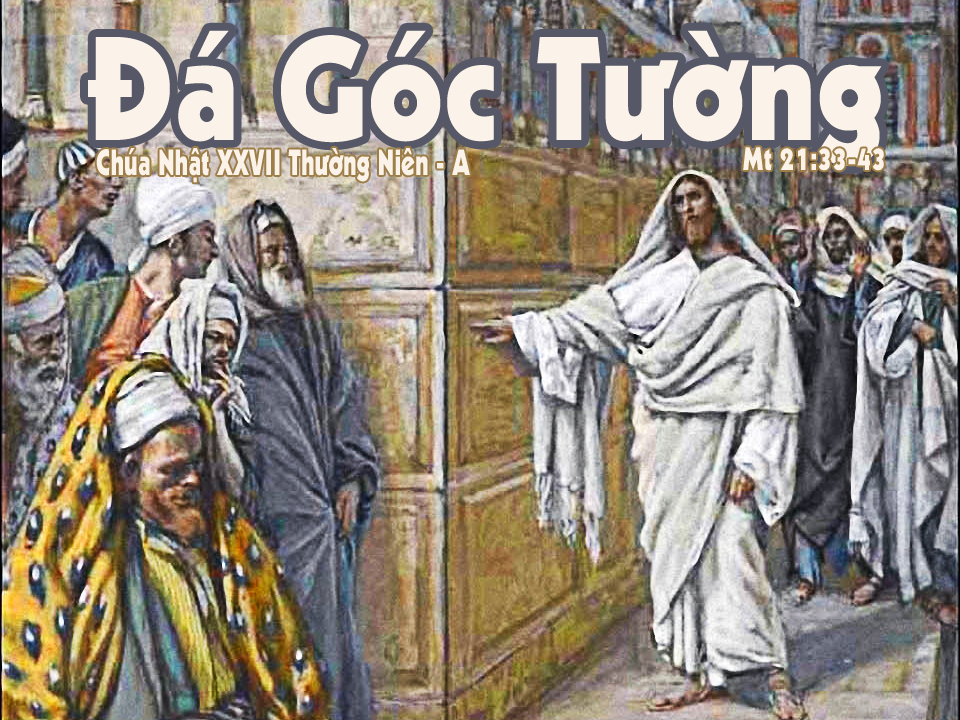 Bài đọc Chúa nhật XXVII Thường niên - Năm A