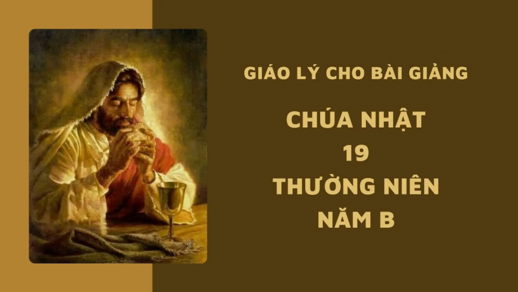 CN 19 TN B 4