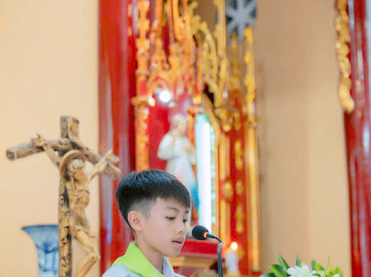 Photo-5