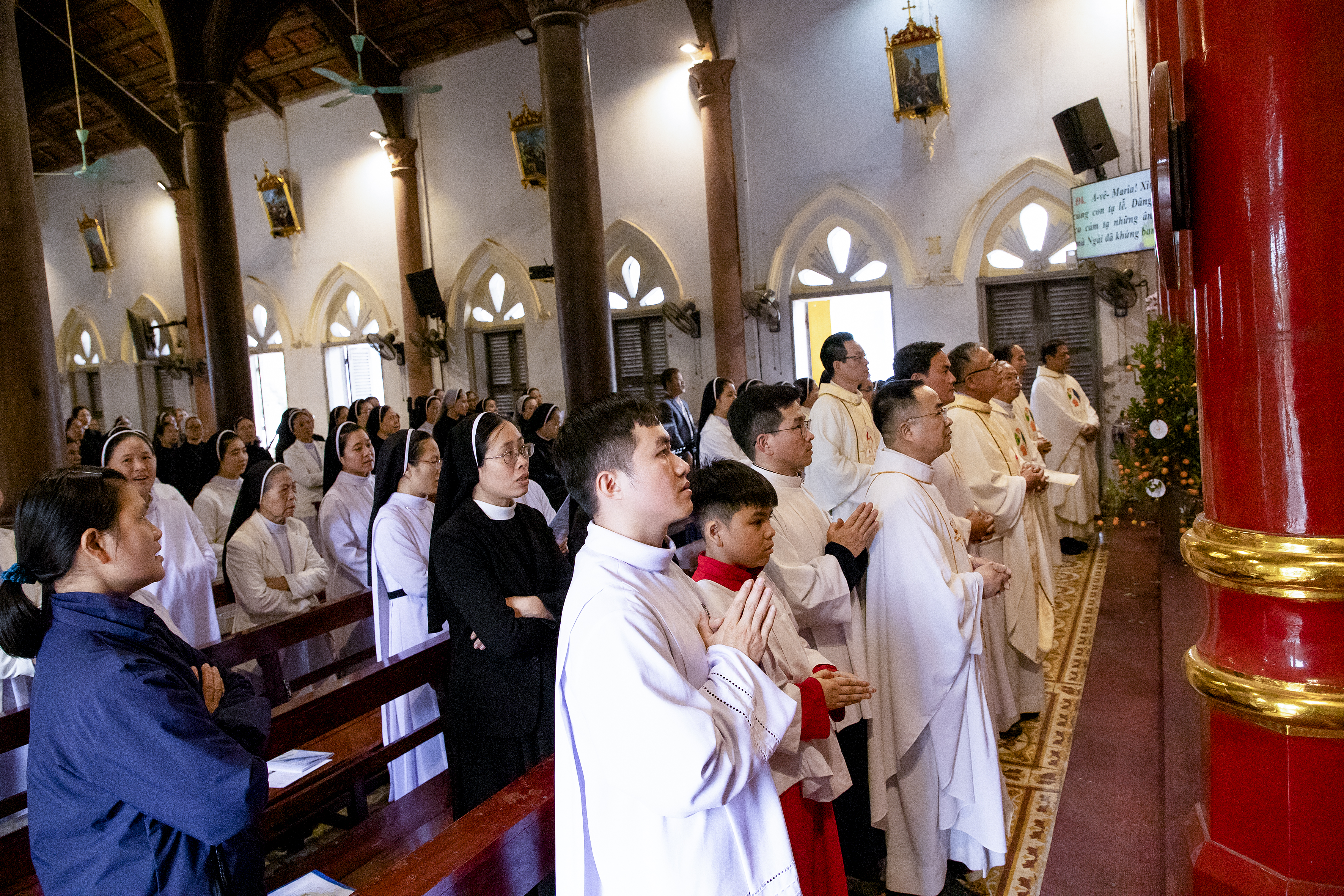 Photo-1