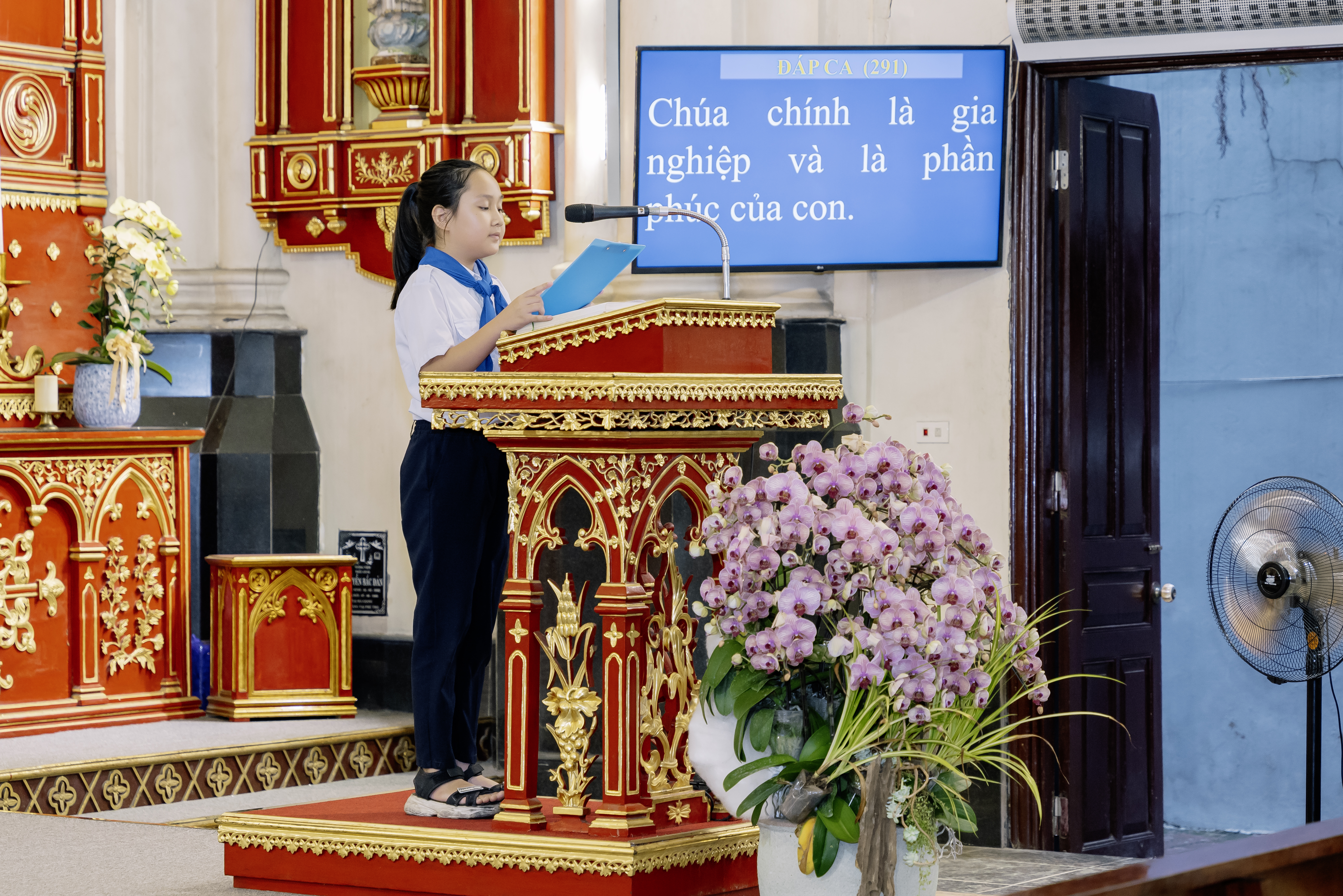 Photo-10