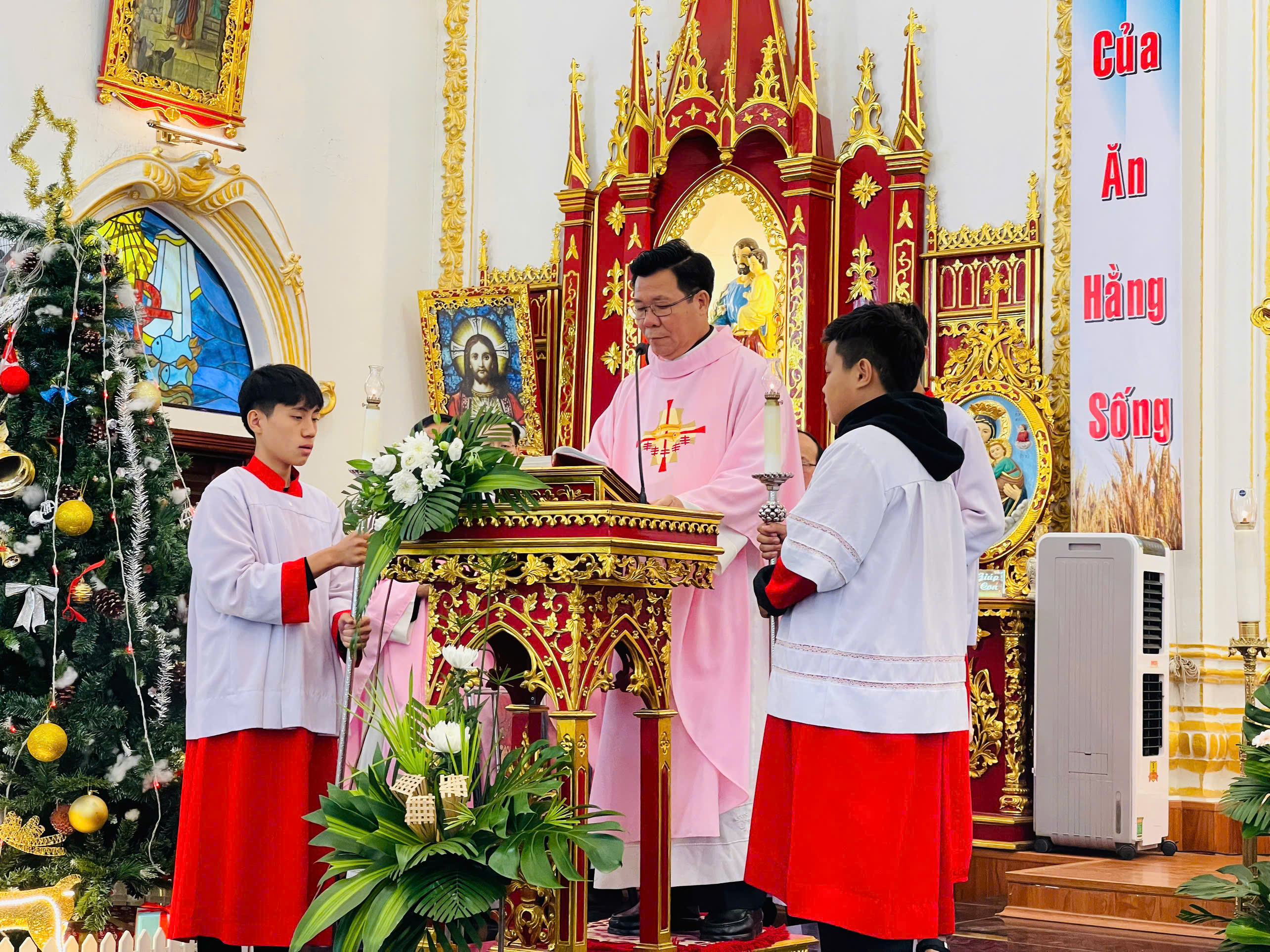 Photo-6
