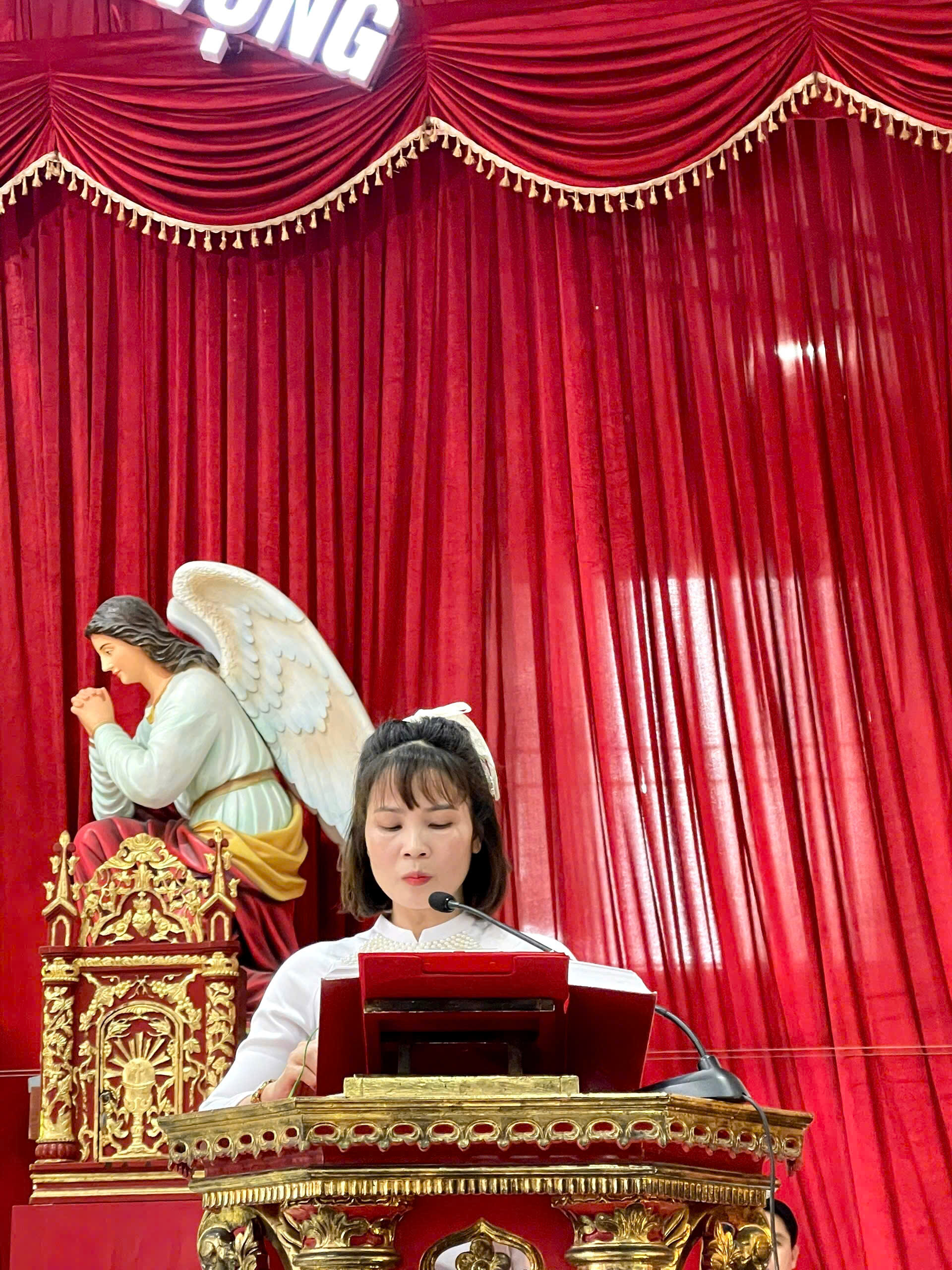 Photo-4