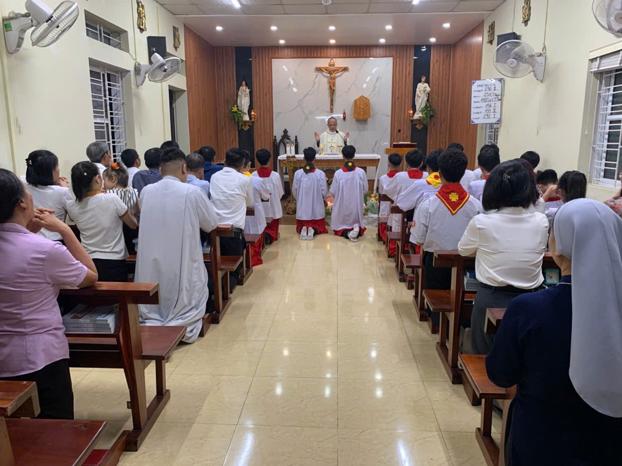 Photo-11