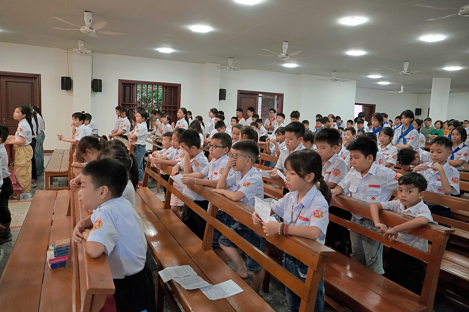 Photo-6