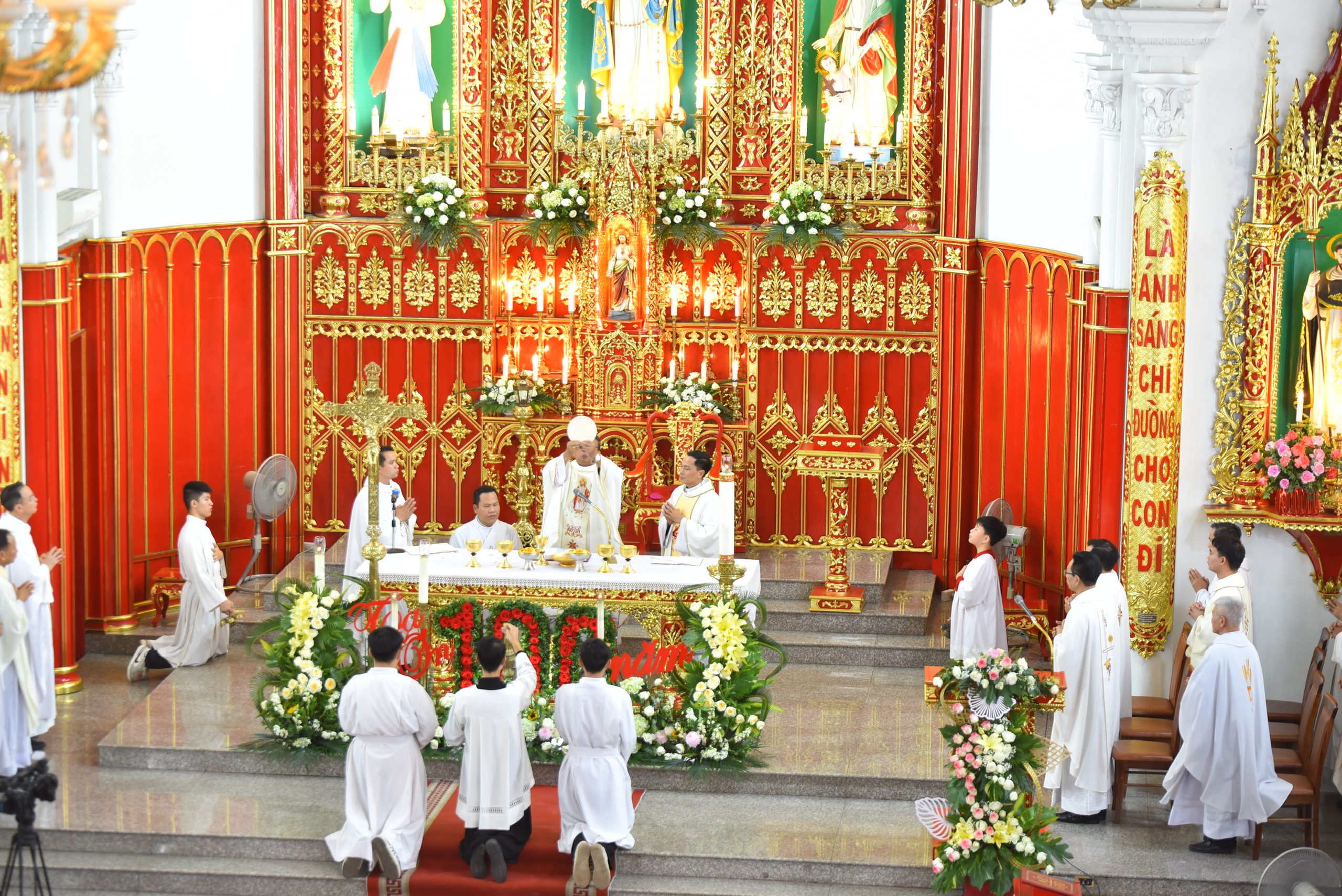 Photo-8