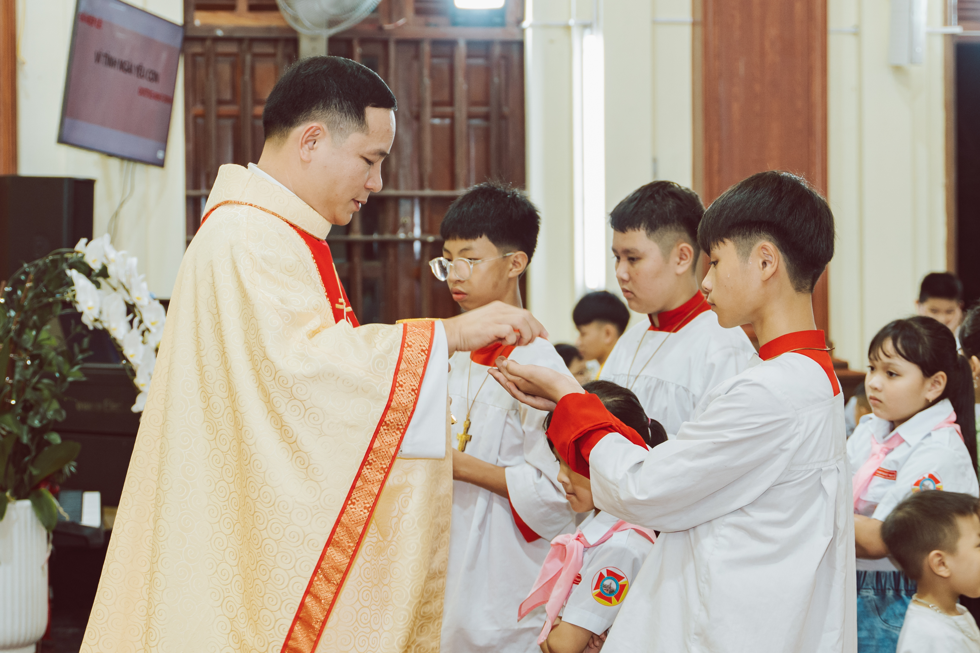 Photo-8