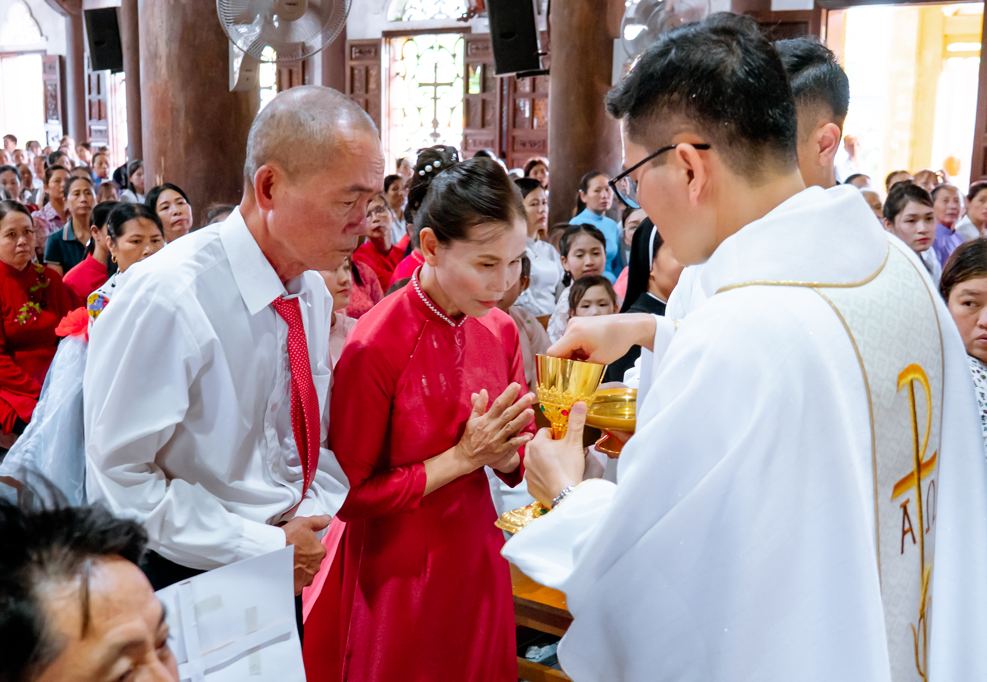 Photo-6