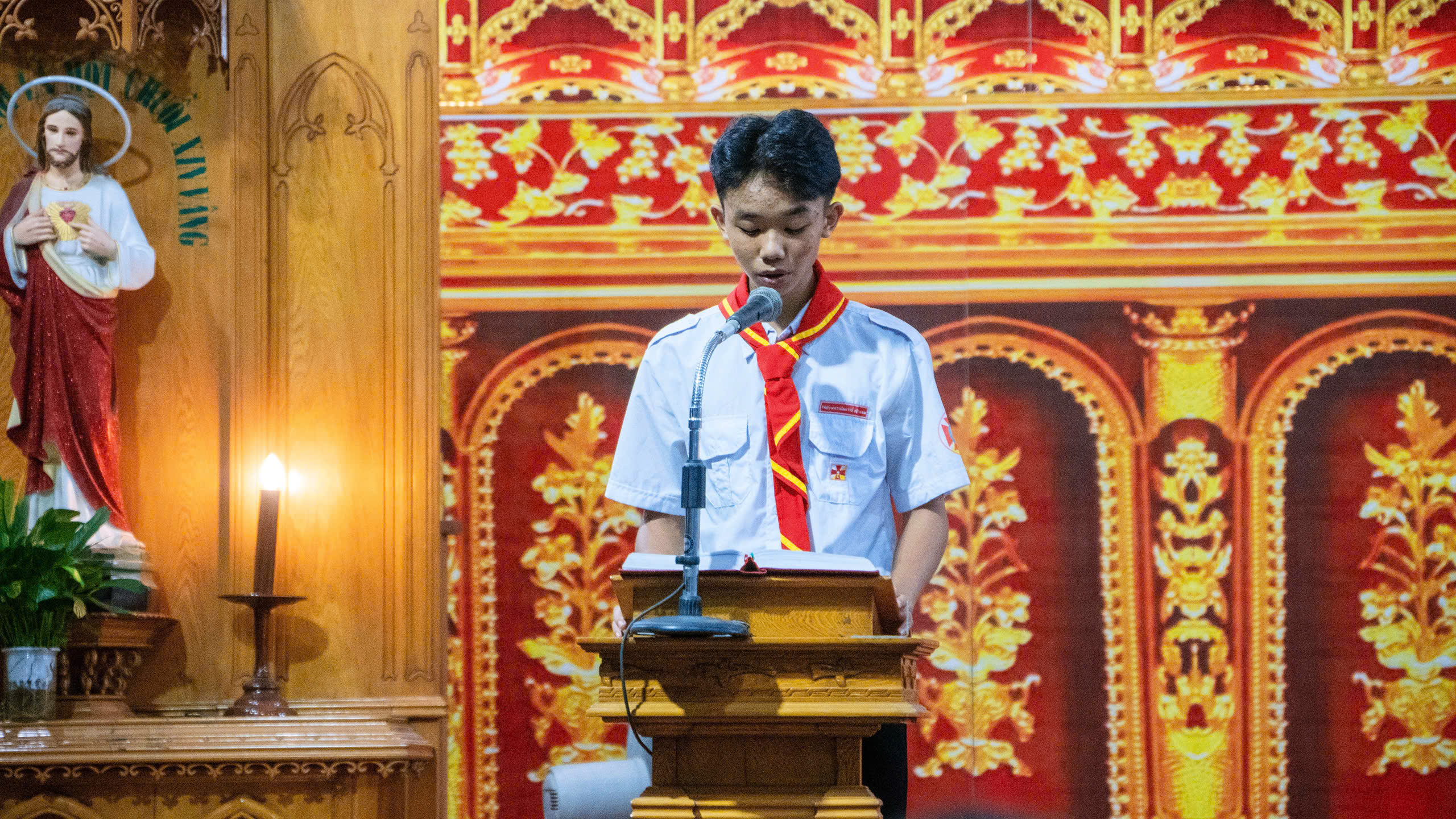 Photo-8