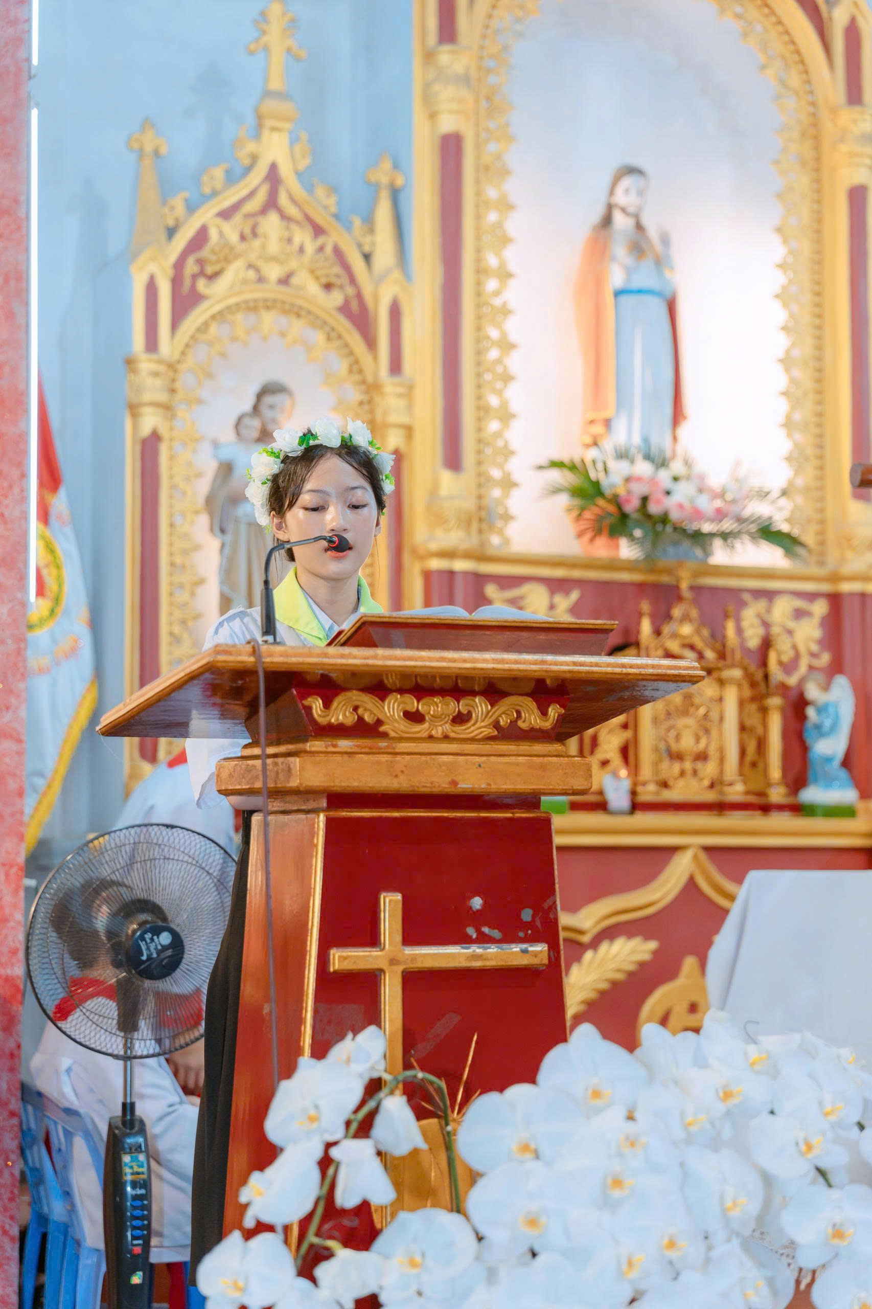 Photo-11