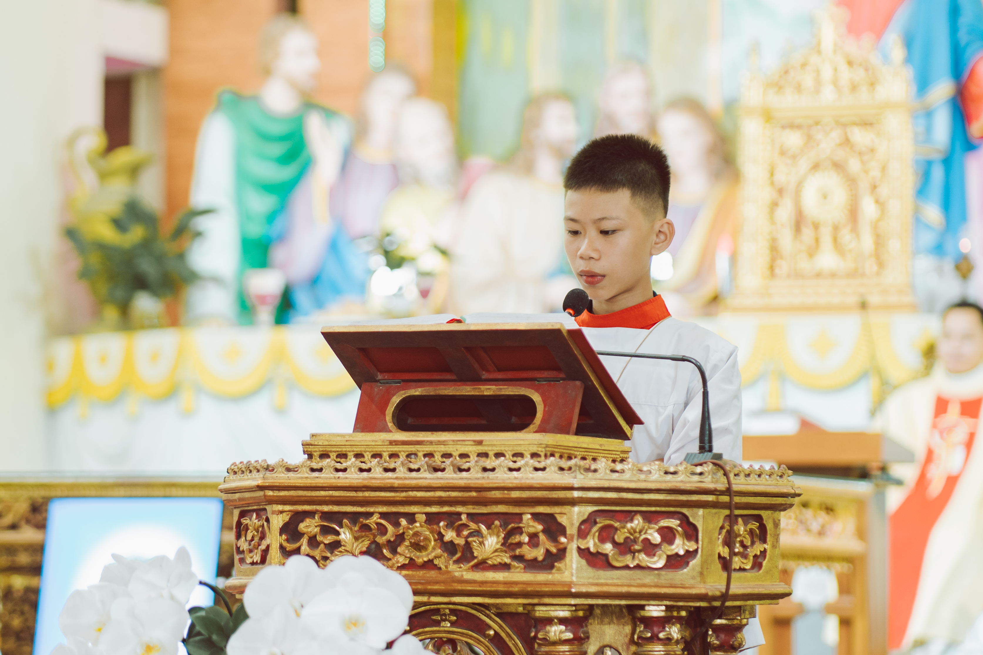 Photo-2