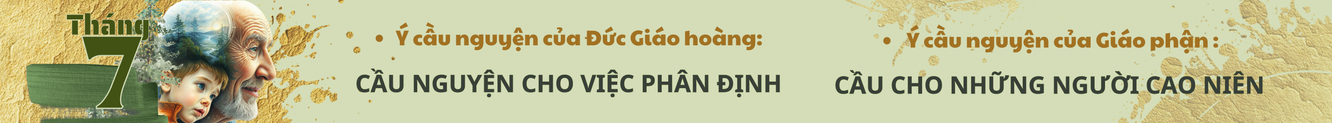 banner-0
