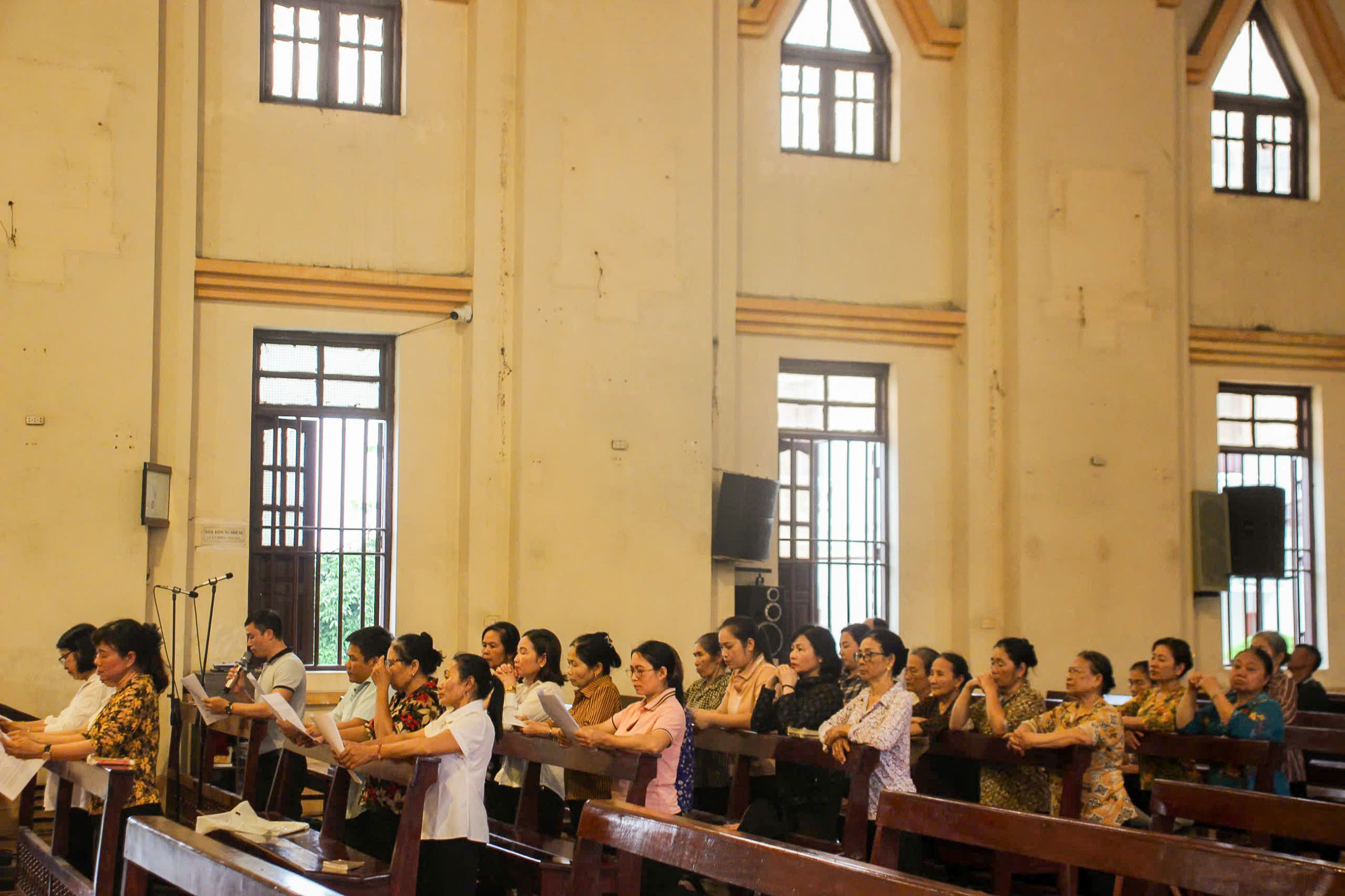 Photo-8