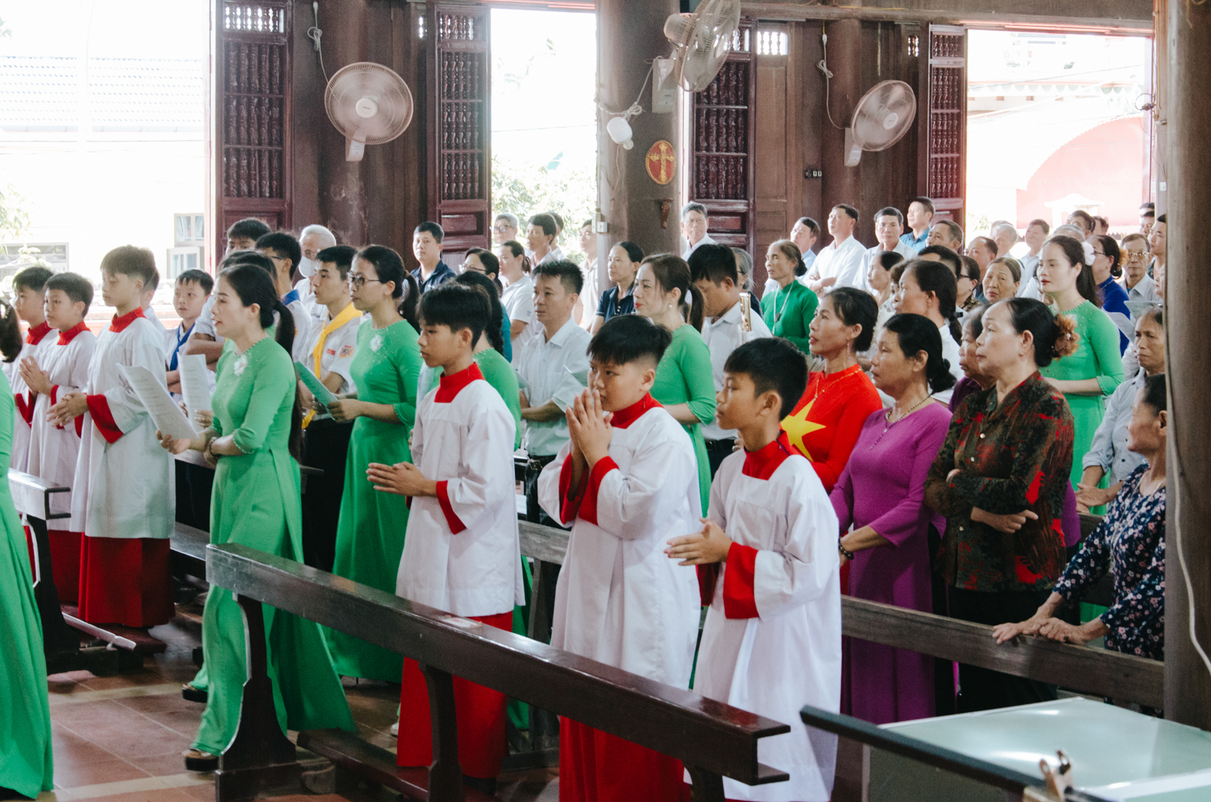 Photo-6