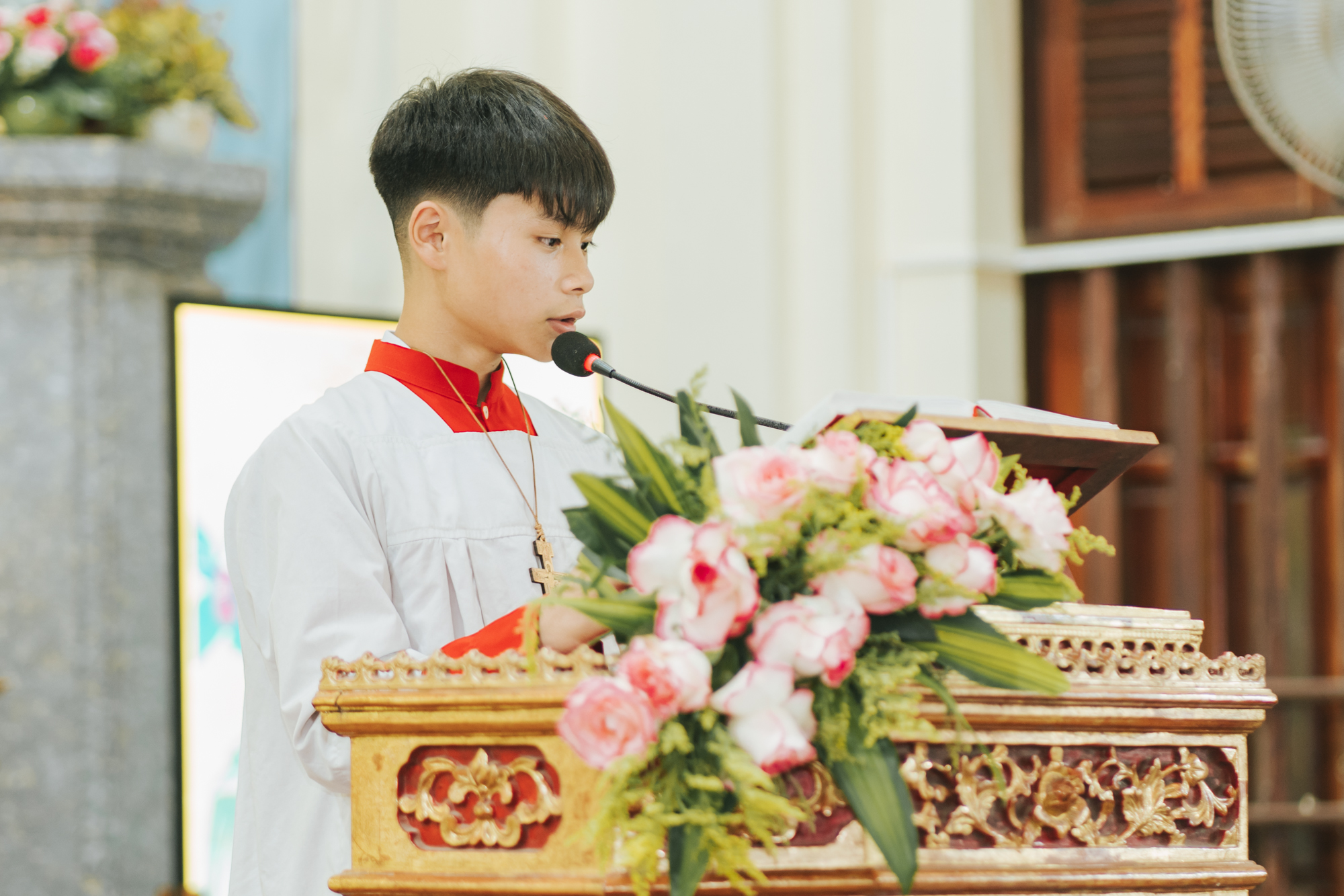 Photo-5