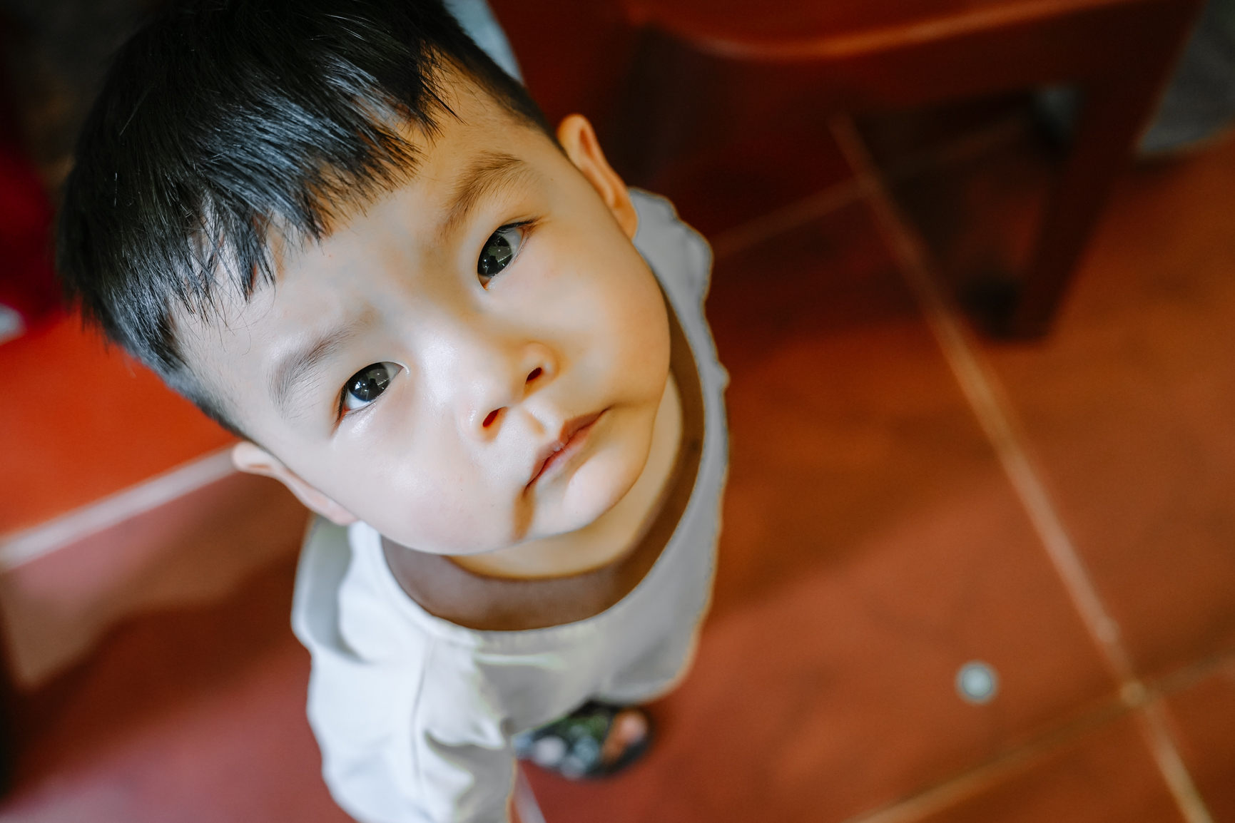 Photo-7