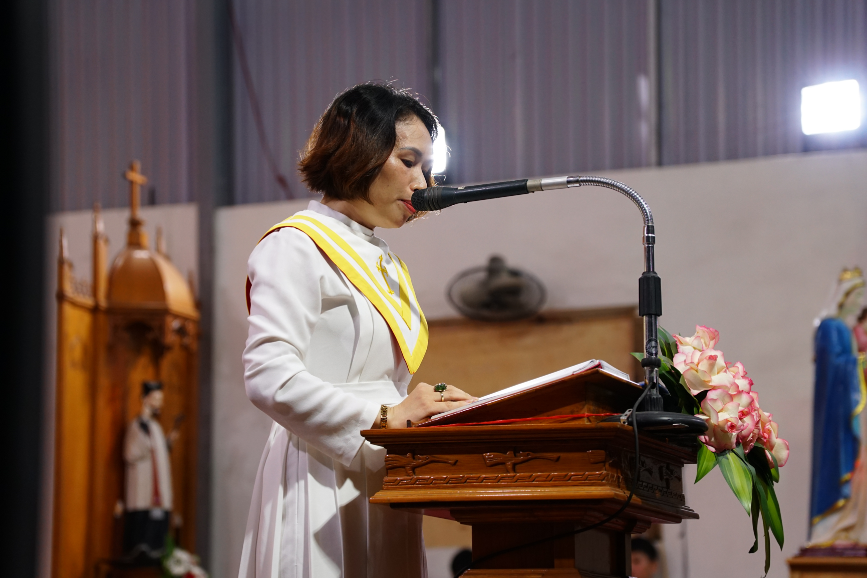 Photo-7