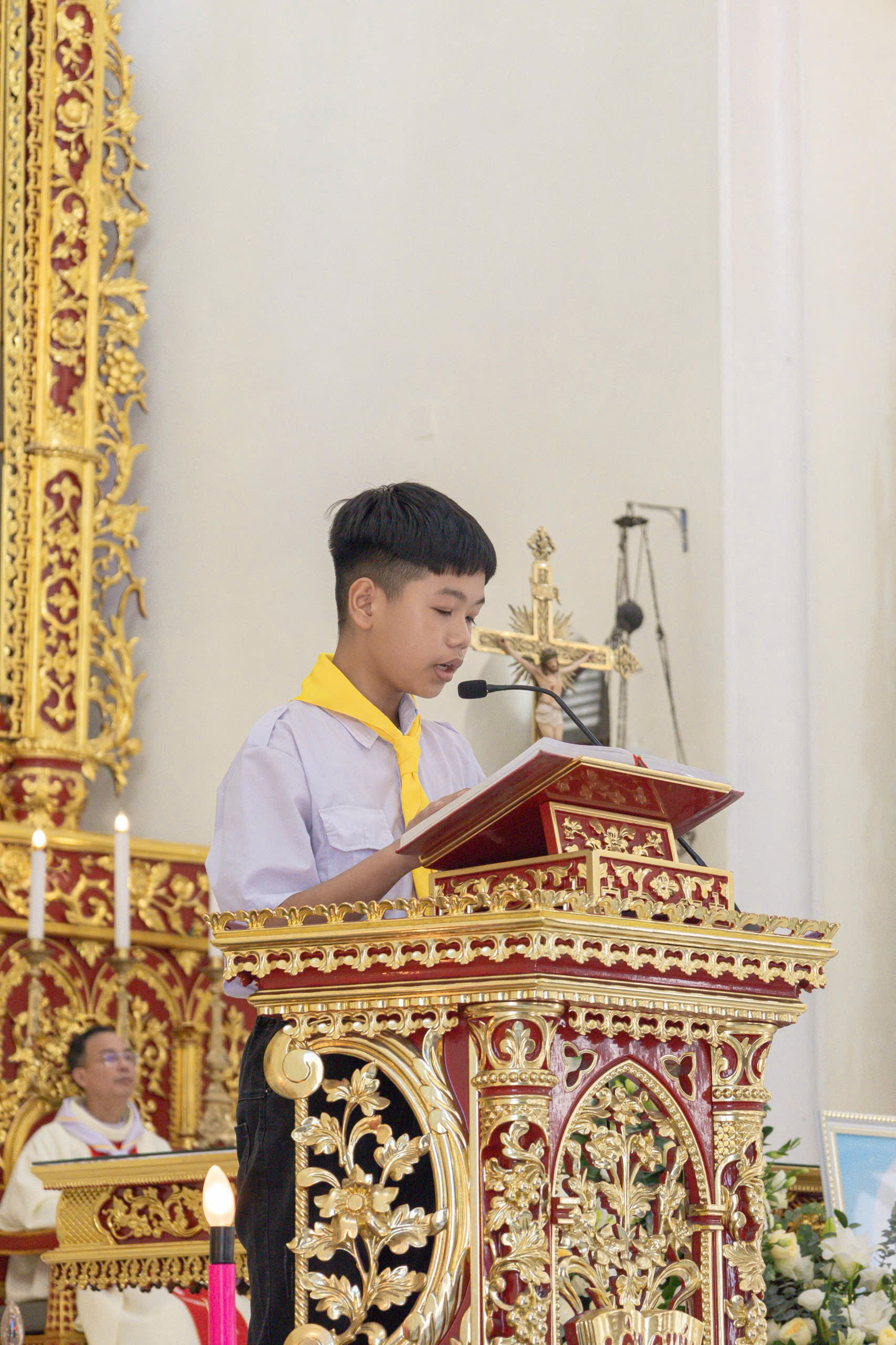 Photo-6