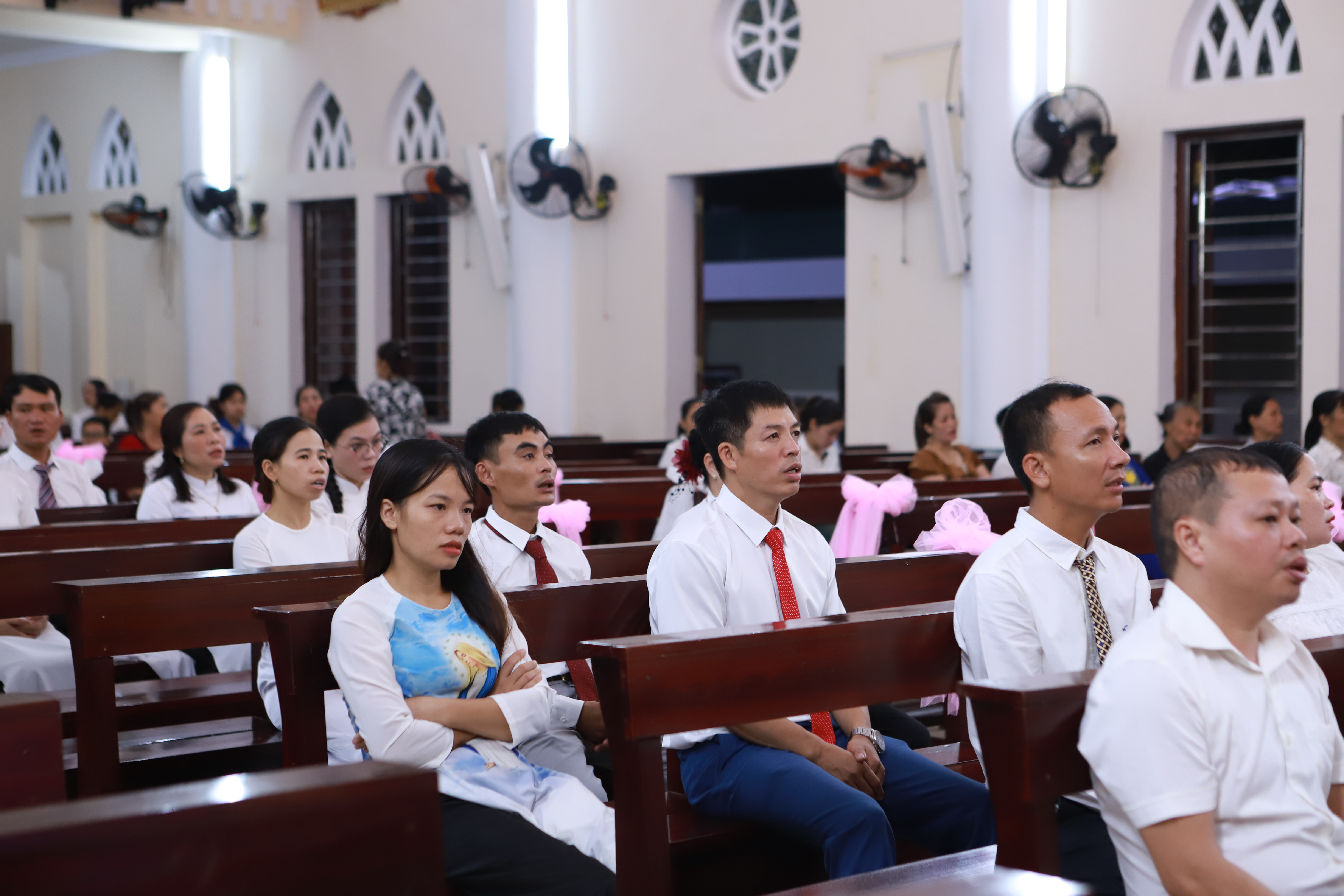 Photo-6