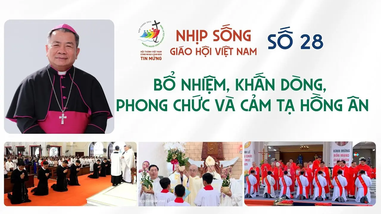 Nhịp sống Giáo hội Việt Nam số 28 (01/7 – 07/7/2025): Bổ nhiệm, khấn dòng, phong chức và cảm tạ hồng ân