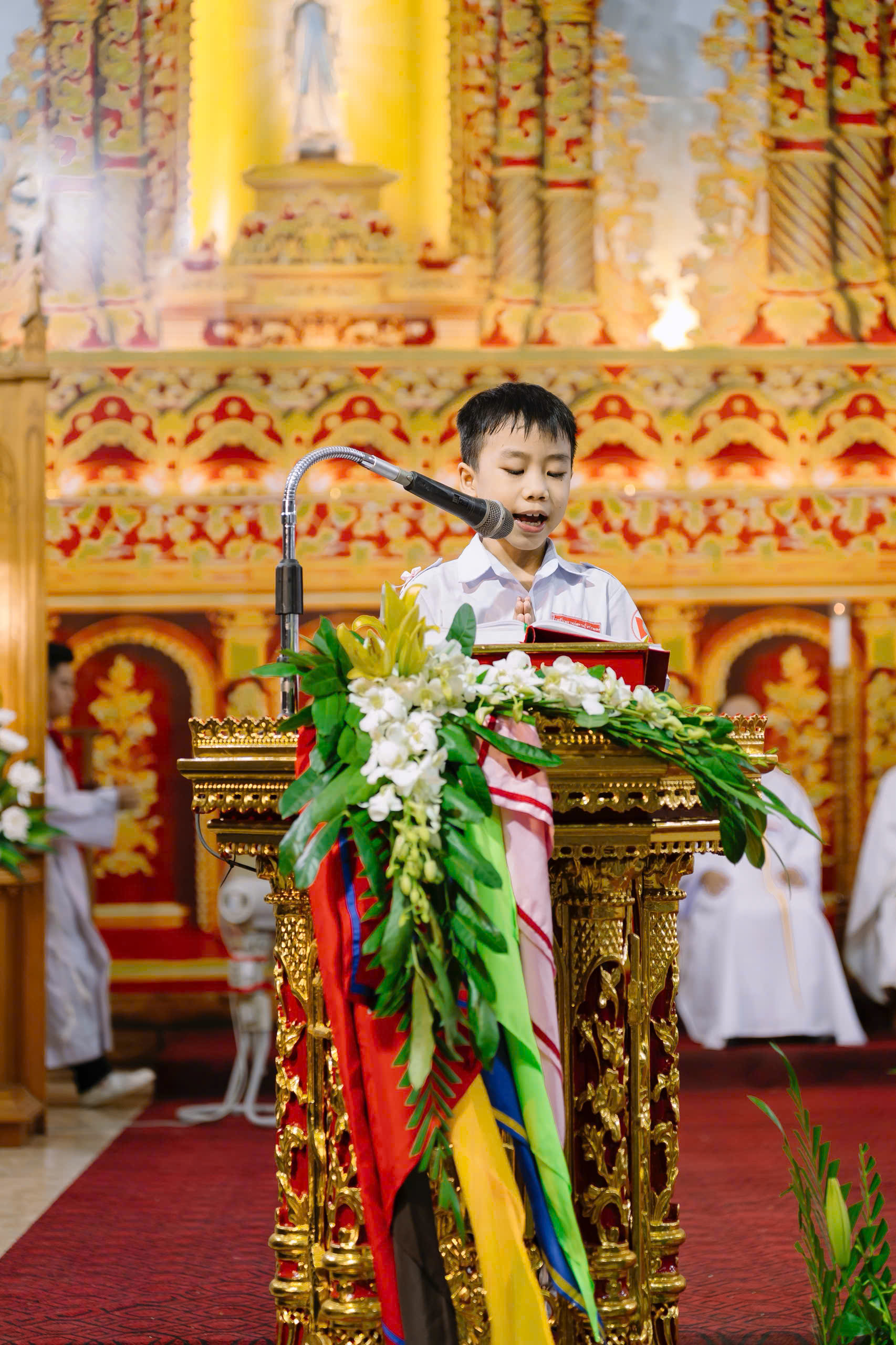 Photo-11