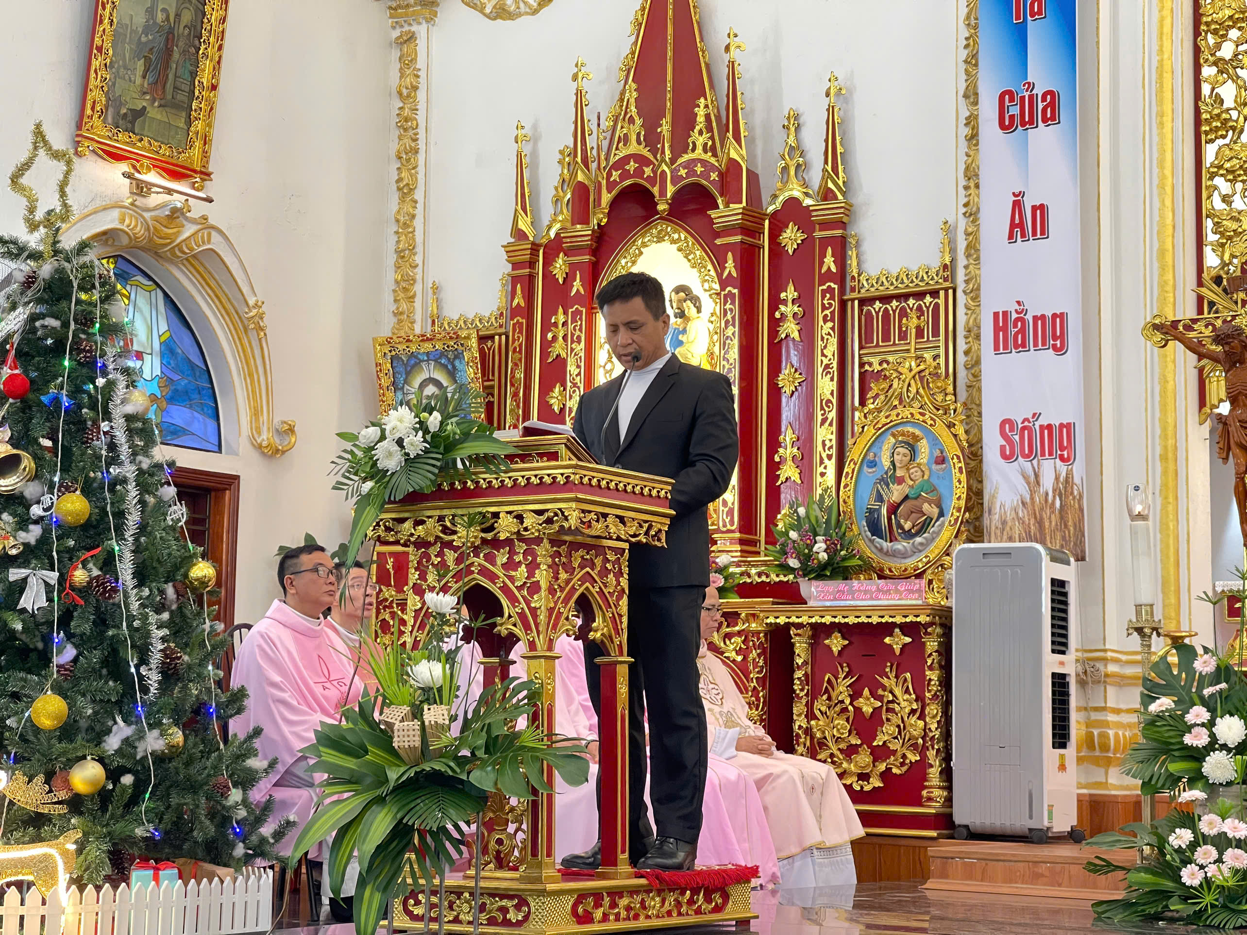 Photo-7