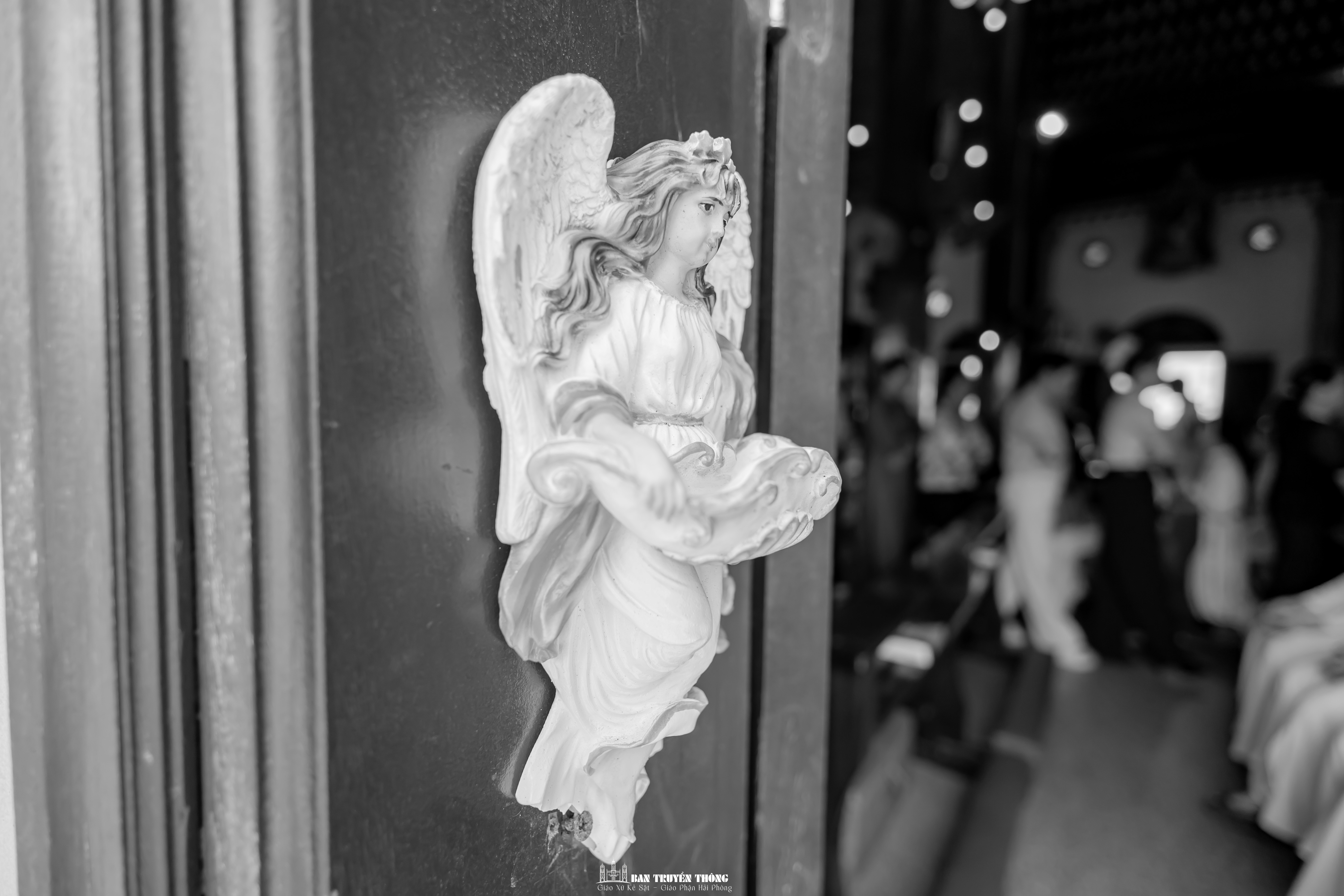 Photo-3