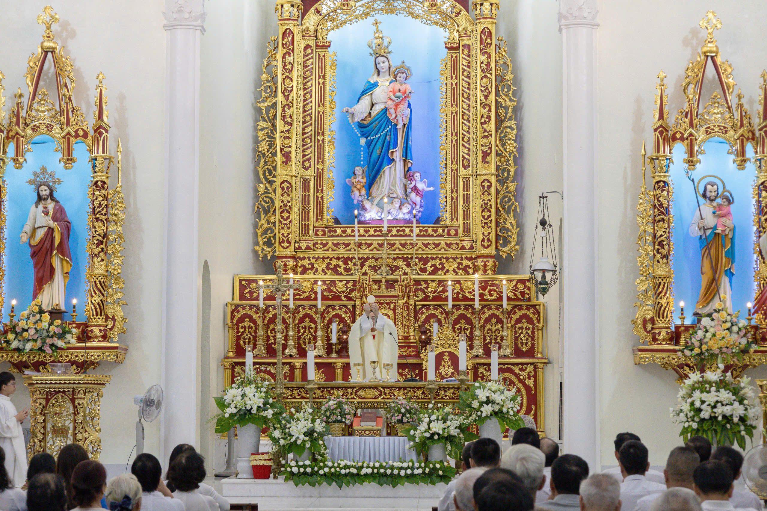 Photo-6